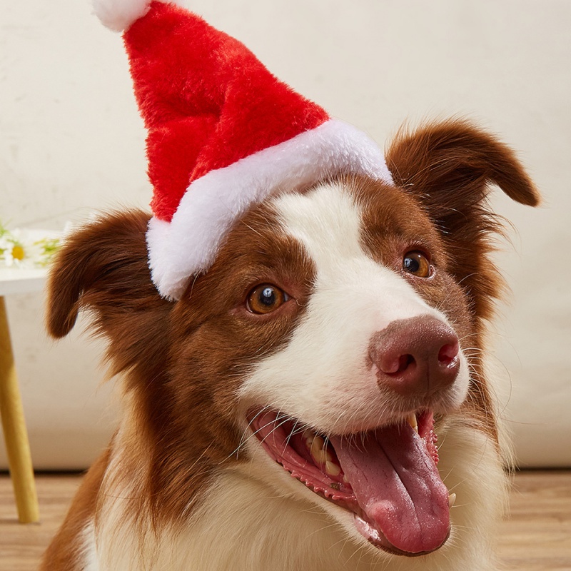 Santa Hat Plush - Dog Cats Hat Christmas Decorations Machine
