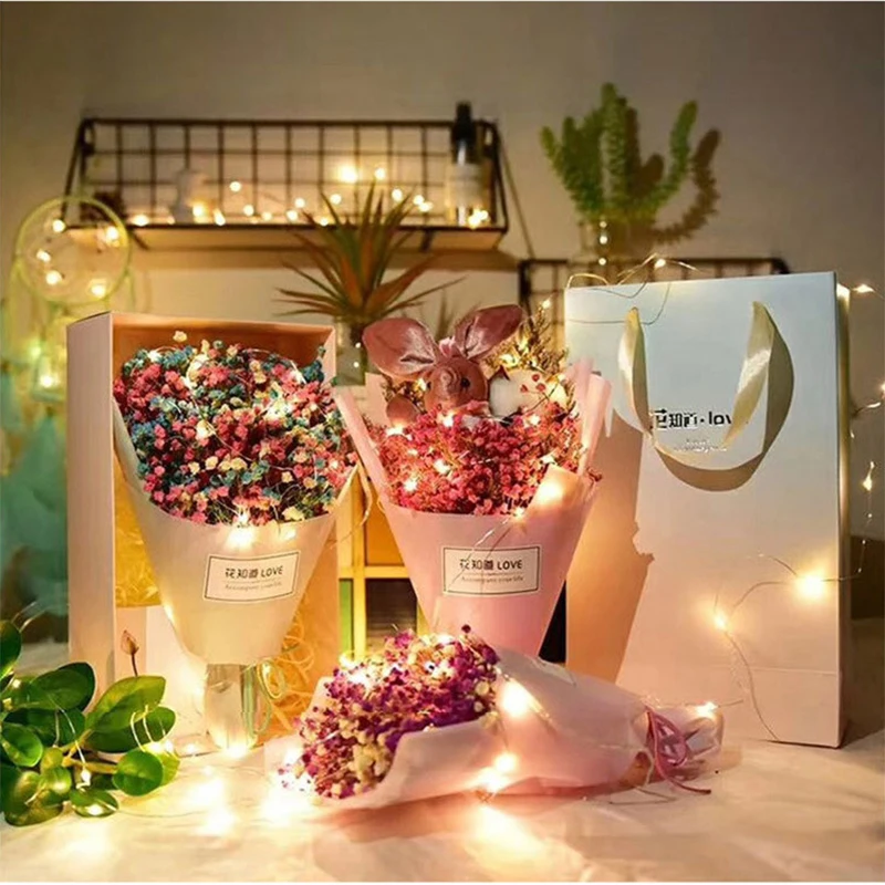 Christmas Tree Wedding Party D - đánh giá và giá Led Fairy String Lights