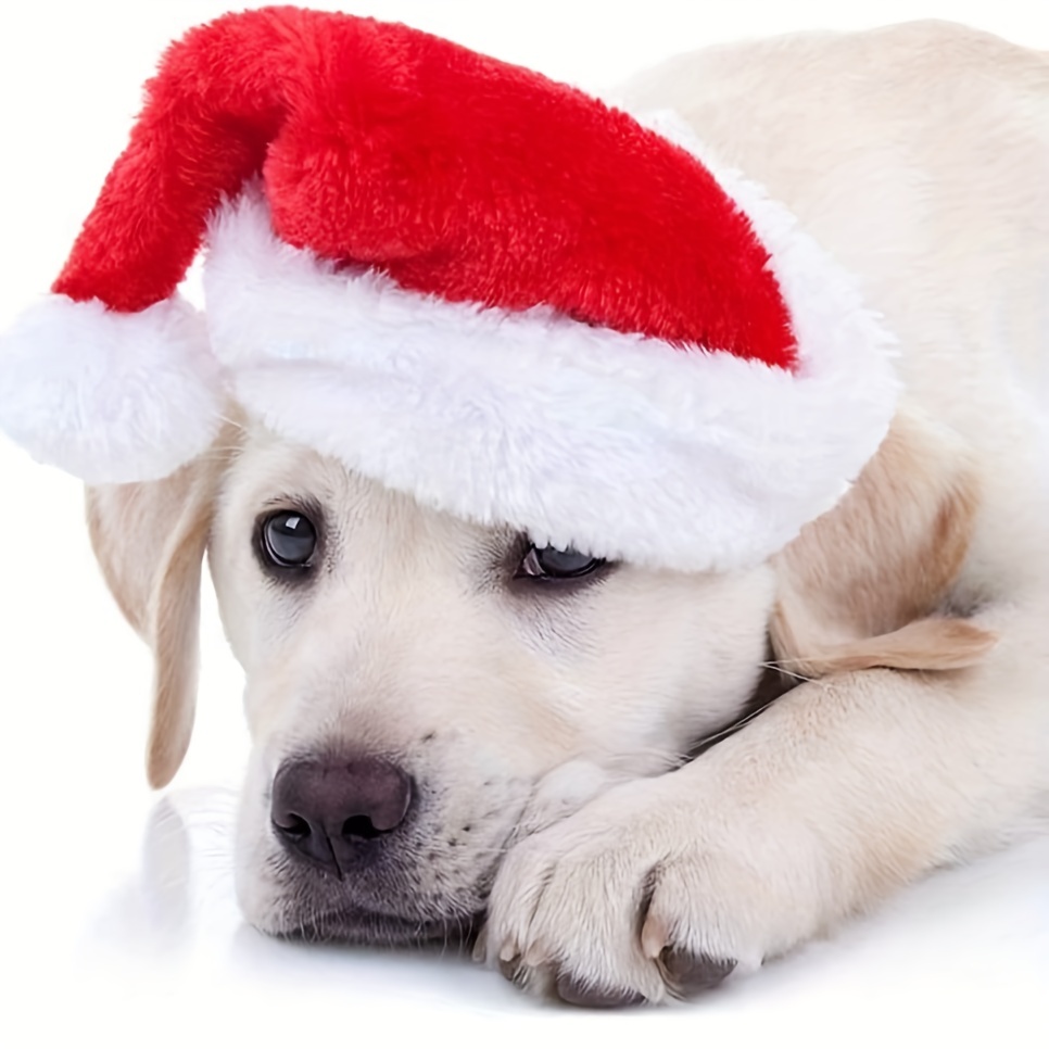 1-10PCS Luxury Soft Plush Chri - đánh giá và giá Santa Hat Plush